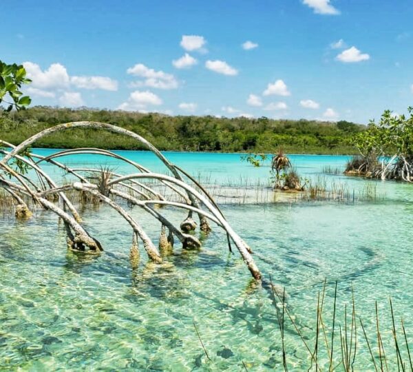 bacalar, selva y kayak